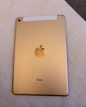 Ipad Mini