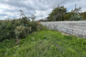 Terreno - Mascalucia
