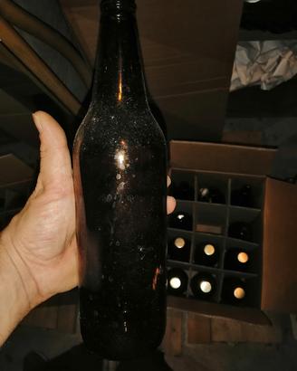 bottiglie di birra 