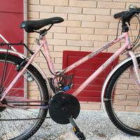 bicicletta