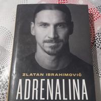 biografia ibrahimovic