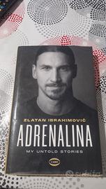 biografia ibrahimovic