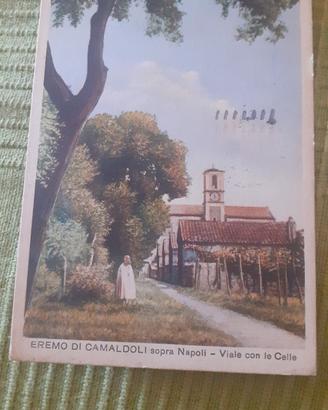 cartoline 