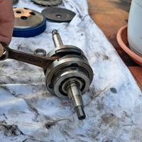 Albero Motore Polini Evolution 