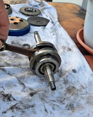 Albero Motore Polini Evolution 