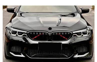 Griglia anteriore BMW