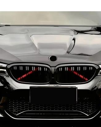Griglia anteriore BMW
