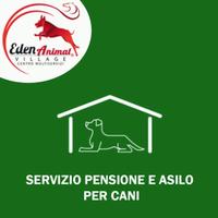 Pensione per Cani a Palermo