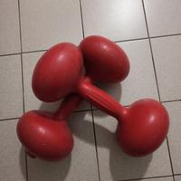 Coppia manubri a peso variabile 