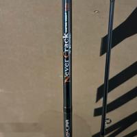 Canna spinning luccio siluro