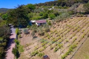 Villa di 2030 m² con 1 locale e box auto a Rosigna