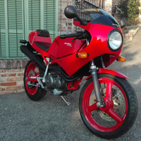 Gilera Saturno Bialbero 500 nuova