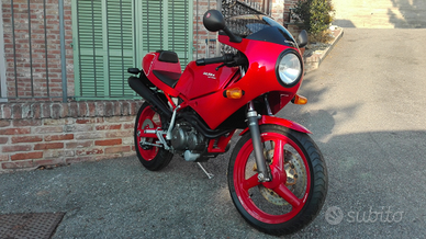 Gilera Saturno Bialbero 500 nuova