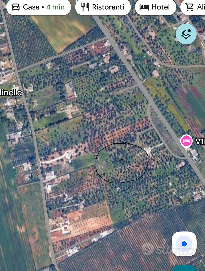 Terreno Uliveto - Vista 2