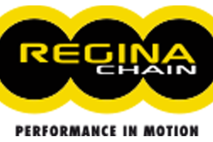 Catene Regina nuove per vari modelli di moto