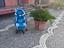 Immagine 3