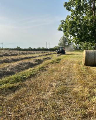 Fieno maggengo ballone per tiro con l'arco