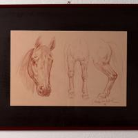 Galeazzo Von MÒrl 1922 -2011 - cavallo