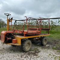 Carro raccolta frutta