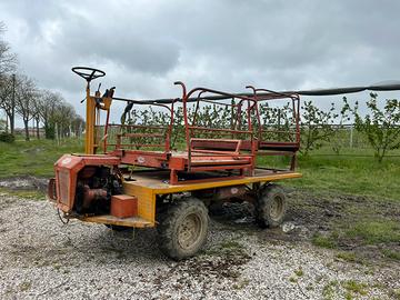 Carro raccolta frutta