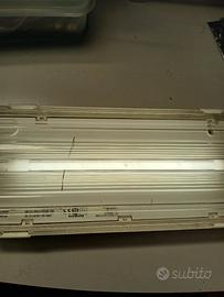 lampada di emergenza 