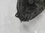 Immagine 20