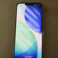 iPhone 13 Pro Max 256GB
