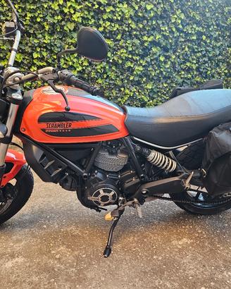 Ducati scrambler