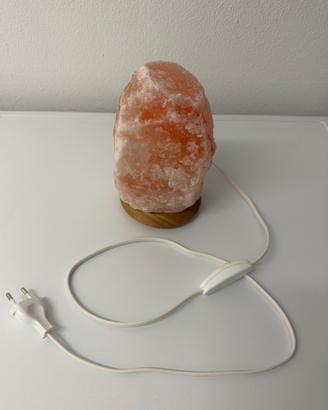 Lampada gemma di sale dell'Himalaya