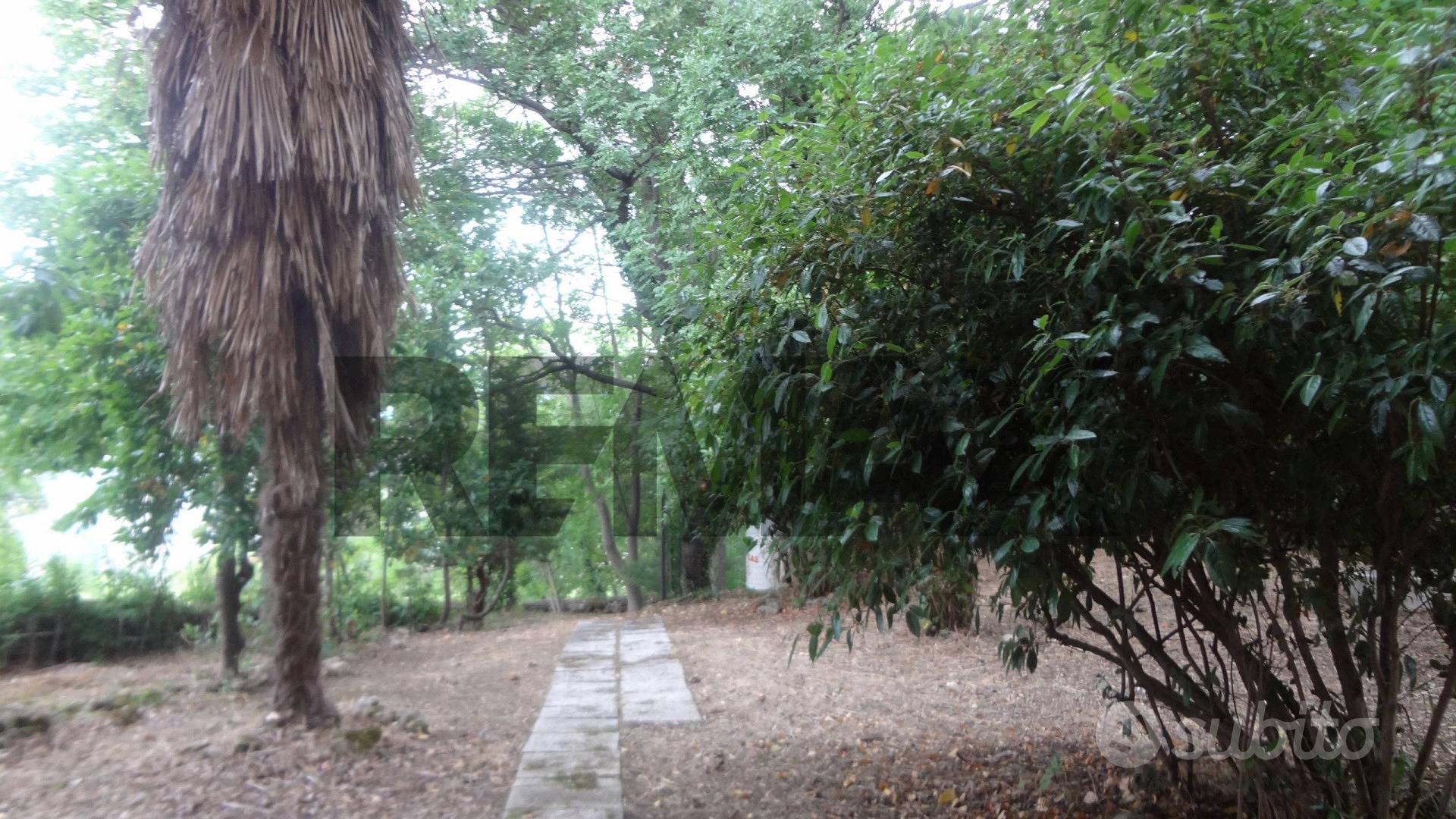 Casa – Roccamontepiano, Contrada Madonna delle Grazie - Altro