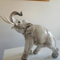 Elefante Guido Cacciapuoti firmato