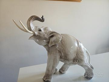 Elefante Guido Cacciapuoti firmato