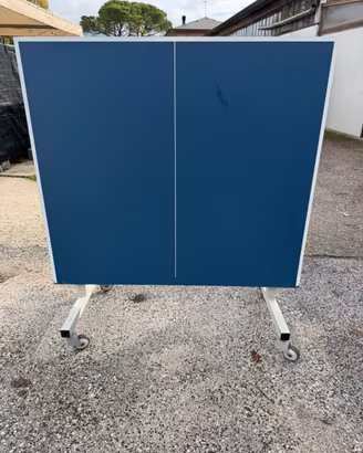 Tavolo ping pong