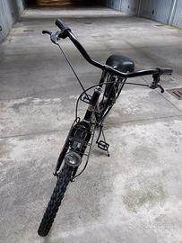 bici da donna (da 24)