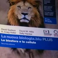 Libri scolastici per licei