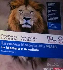 Libri scolastici per licei