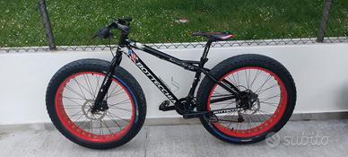 bici.  fat bike