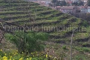 Proprietà agricola con casolare a Linguaglossa