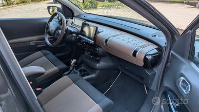 Citroen cactus