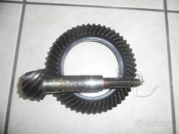 Coppia conica 10x51 lancia ardea