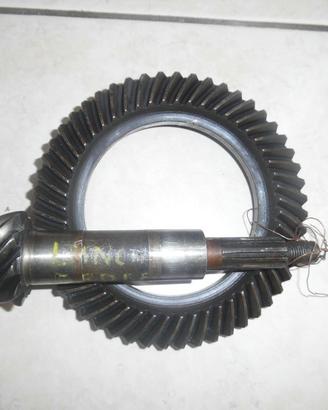 Coppia conica 10x51 lancia ardea