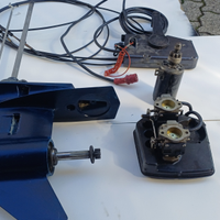 Piede johnson 40cv gambo lungo