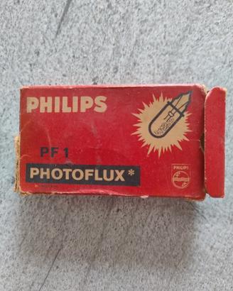 lampadine vintage x flash 