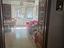Immagine 17