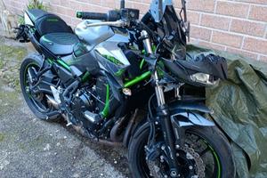 Z 650 MY 24 INCIDENTATA 