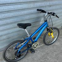 Mountain Bike 20 ''
