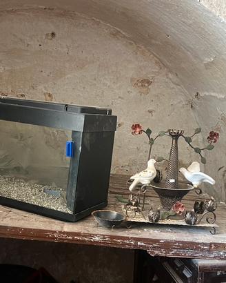 Acquario