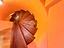 Immagine 29