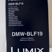 Batteria Lumix G9