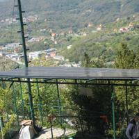 Moduli fotovoltaici Qcell Q.plus BFR-G4 270Wp